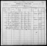 1900 United States Federal Census
