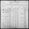 1900 United States Federal Census