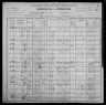 1900 United States Federal Census