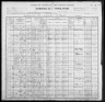 1900 United States Federal Census