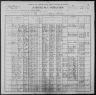 1900 United States Federal Census