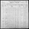 1900 United States Federal Census