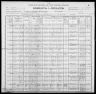 1900 United States Federal Census