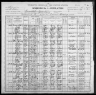 1900 United States Federal Census