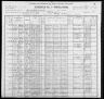 1900 United States Federal Census