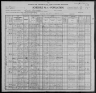 1900 United States Federal Census