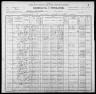 1900 United States Federal Census