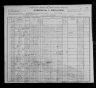 1900 United States Federal Census