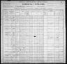 1900 United States Federal Census