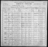 1900 United States Federal Census