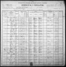 1900 United States Federal Census