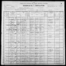 1900 United States Federal Census