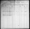 1900 United States Federal Census