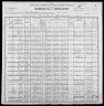 1900 United States Federal Census