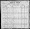 1900 United States Federal Census