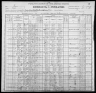 1900 United States Federal Census