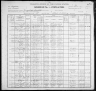 1900 United States Federal Census