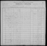 1900 United States Federal Census