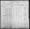 1900 United States Federal Census