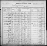 1900 United States Federal Census