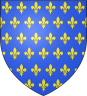 Img: France, Henri of I