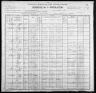 1900 United States Federal Census