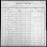 1900 United States Federal Census