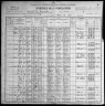 1900 United States Federal Census