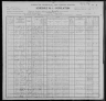 1900 United States Federal Census