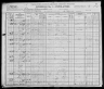 1900 United States Federal Census