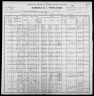 1900 United States Federal Census