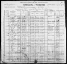 1900 United States Federal Census