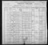 1900 United States Federal Census