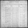 1900 United States Federal Census