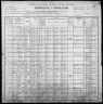 1900 United States Federal Census