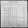 1900 United States Federal Census