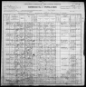 1900 United States Federal Census