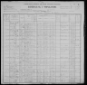 1900 United States Federal Census