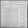 1900 United States Federal Census