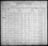 1900 United States Federal Census