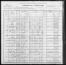 1900 United States Federal Census