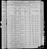 1880 United States Federal Census