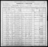 1900 United States Federal Census