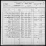 1900 United States Federal Census