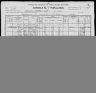 1900 United States Federal Census