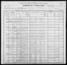 1900 United States Federal Census