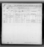 New Orleans Passenger Lists, 1820-1945