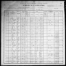 1900 United States Federal Census