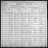 1900 United States Federal Census