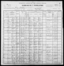 1900 United States Federal Census